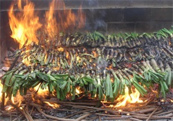 graella de calçots al foc